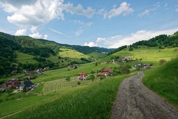 Baden-Württemberg - Münstertal/Schwarzwald - Wanderweg