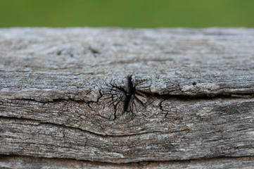 cracked wood old wood textures