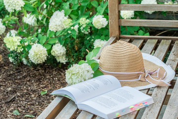 Relaks z książką w ogrodzie - obrazy, fototapety, plakaty