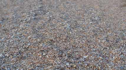 small shell rock looks like sand