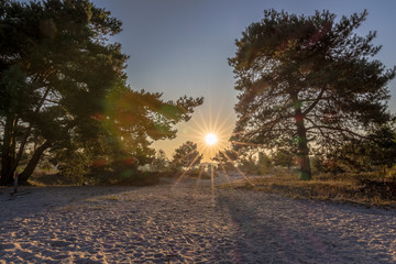 Brunsummerheide (translation Brunssumer meadows) a national park in South Limburg in the Netherlands with morning fog over the field during sunrise