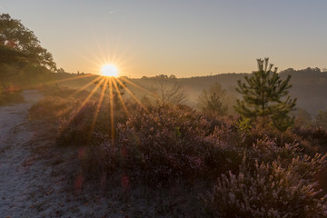 Brunsummerheide (translation Brunssumer meadows) a national park in South Limburg in the Netherlands with morning fog over the field during sunrise