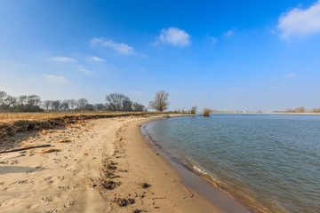 River banks and floodplain forests along the Maas River in the Dutch province of Gelderland with trees, shrubs, grasses with river beach and river dunes during winter against a clear blue sky