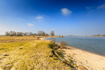 River banks and floodplain forests along the Maas River in the Dutch province of Gelderland with trees, shrubs, grasses with river beach and river dunes during winter against a clear blue sky