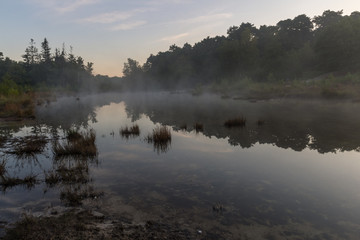 Brunsummerheide (translation Brunssumer meadows) a national park in South Limburg in the Netherlands with morning fog over the swamp during sunrise