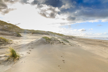 Beautiful wintry dune scenery along Dutch North Sea coast with by wind power carved deep holes with steep walls and in wind bending European Beachgrass and background sky with blue spots and clouds