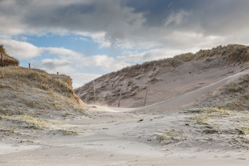 Beautiful wintry dune scenery along Dutch North Sea coast with by wind power carved deep holes with steep walls and in wind bending European Beachgrass and background sky with blue spots and clouds