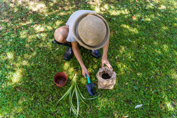Unrecognizable kid hands teaching the process to transplant a plant into a new pot at home backyard.