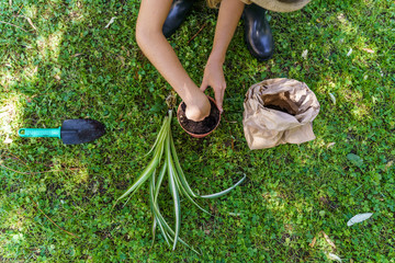 Ecology and environmental lifestyle. Take care of nature.