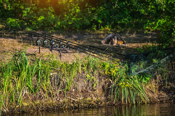 Carpfishing session at the Lake.Carp Angling scenic landscape overlooking lake at Dawn.Fishing adventures, carp fishing.Carp fishing rods, fishing line, freshwater water reflection