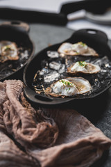 Raw oyster with mignonette sauce, celery & cream in cast iron on ice