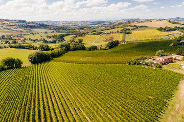 Fototapeta na wymiar Beautiful valley in Tuscany, Italy. Vineyards and landscape