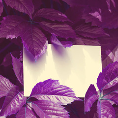 Creative colored purple leaves layout. Supernatural concept. Flat lay