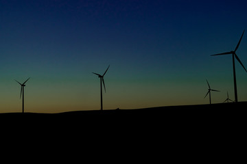 Fototapeta premium Windmills during the sunset