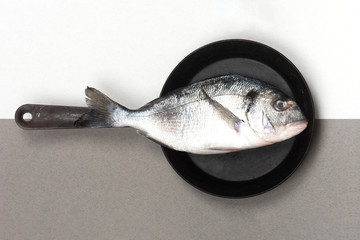Fresh fish dorado on a frying pan on a duotone background grey and white. View from above.