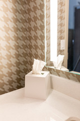 Hotel Bathroom with Brushed Nickel Accents