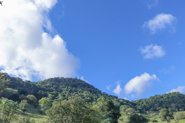 paisagem, natureza, relva, c&eacute;u, campo, verde, montagna