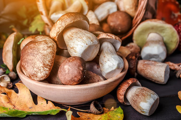 Mushroom over Wooden Background. Autumn Cep Mushrooms on wood. Autumn forest fruit
