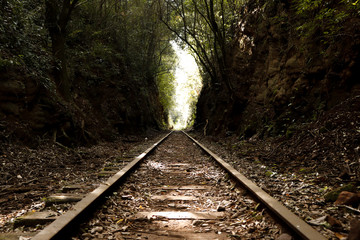 Naklejka premium estrada de ferro, trem, estrada secundária, trilha