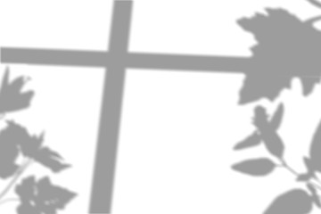 Black shadow silhouette and overlay on the white isolated background for photos. Use multiply blend mode. Natural shadow.