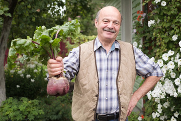 Proud content man holds a beetroot in the garden