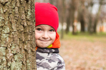 The boy hides behind a tree in the park. A child looks out from behind a tree, playing hide and seek on the street. Little boy is playing hide and seek outdoors