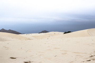 DUNES