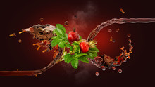 Healthy herbal rose hip tea 3D splash swirl waves, dog rose hips, tea droplets. Hot or cold tea splashing, berries isolated. Liquid refreshing medicinal plant vitamin C drink, herbal tea label element