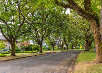 A perfect neighbourhood. Houses in suburb at Summer in the north America. Luxury houses with nice landscape.