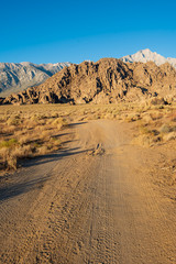 Fototapeta na wymiar desert dirt road Sierra Nevada mountains