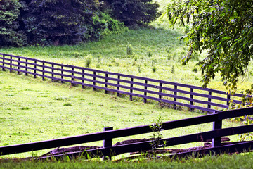 Fototapeta na wymiar Farmland Fence