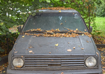 The old car is under a tree.