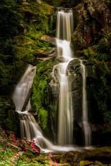 Cascate di Triberg nella Foresta Nera - Germania