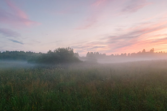 Mysterious and romantic view of a field with fog © Stanislav Samoylik