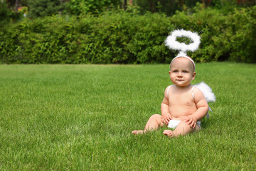 Little baby with angel wings and nimbus on green grass. Space for text