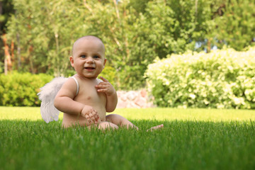 Little baby with angel wings on green grass. Space for text
