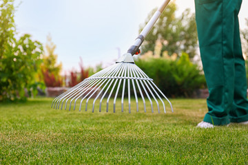 Woman raking green lawn at backyard. Home gardening - obrazy, fototapety, plakaty