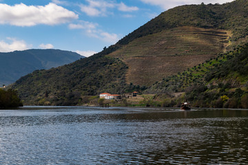 Scenic view of the Douro River with a traditional rabelo boat and terraced vineyards near the Tua village, in Portugal.