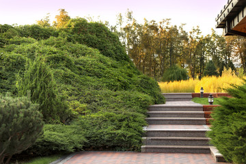 Picturesque landscape with brick path on sunny day. Gardening idea