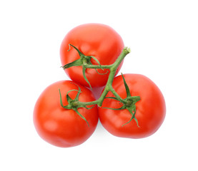 Branch of ripe red tomatoes on white background, top view