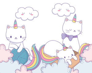 Unicorn cats cartoons vector design