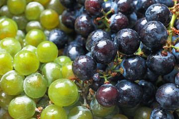 Fresh ripe juicy grapes with water drops as background, closeup