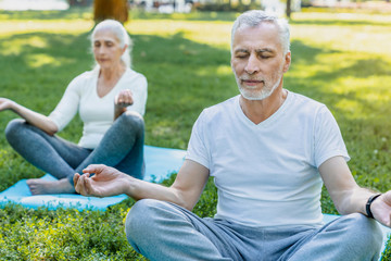Yoga at park. Senior couple sitting in lotus pose on green grass in calm and meditation