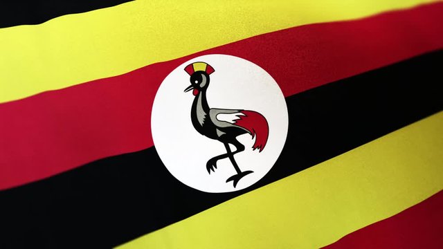 Uganda national flag seamlessly waving on realistic satin texture 29.97FPS