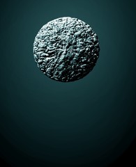 moon in the sky biscuit