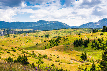 Landscape in Durmitor National Park, Montenegro, Europe