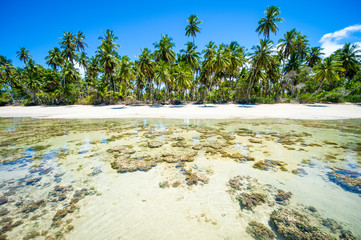 Bright scenic view of a remote Brazilian beach with an exposed coral reef under clear tropical waters in Bahia, Brazil
