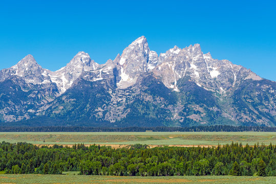 Panoramic photograph of the Grand Teton mountain range in summer with a pine tree forest, Grand Teton National Park, Rocky Mountains, Wyoming, United States of America (USA).