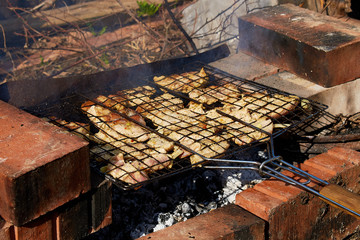 Ruddy chicken kebab is roasted on the grill