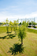 Young green trees with hydroelectric power plant at Centrale Hydroelectrique de Gambsheim in the background